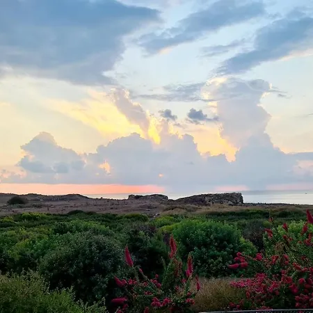 Phaedrus Living Venus Seaview Lighthouse * Paphos